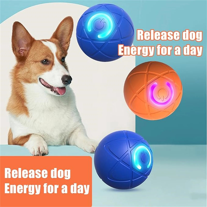 Bola DivertPet™ USB – O Presente Ideal para seu Amiguinho de 4 Patas