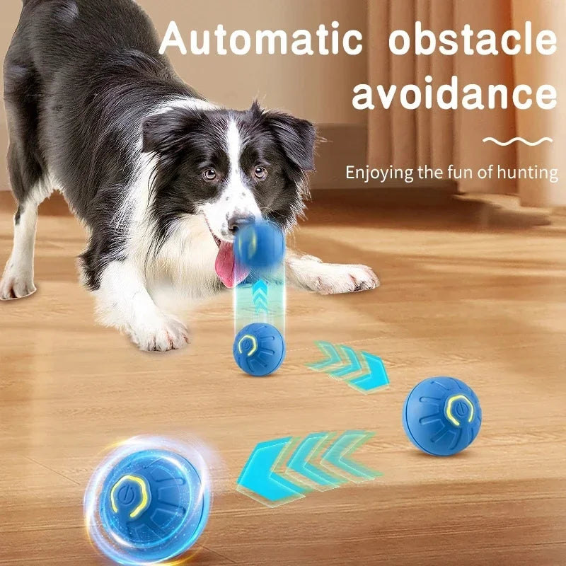 Bola DivertPet™ USB – O Presente Ideal para seu Amiguinho de 4 Patas