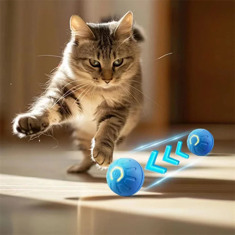Bola DivertPet™ USB – O Presente Ideal para seu Amiguinho de 4 Patas