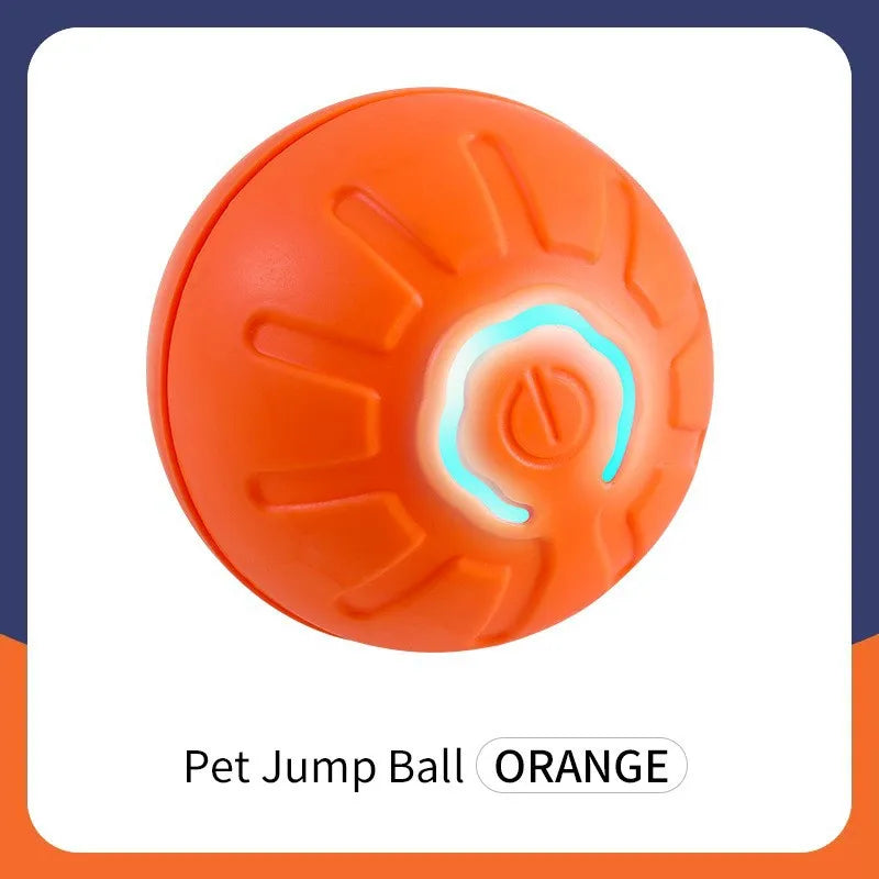 Bola DivertPet™ USB – O Presente Ideal para seu Amiguinho de 4 Patas