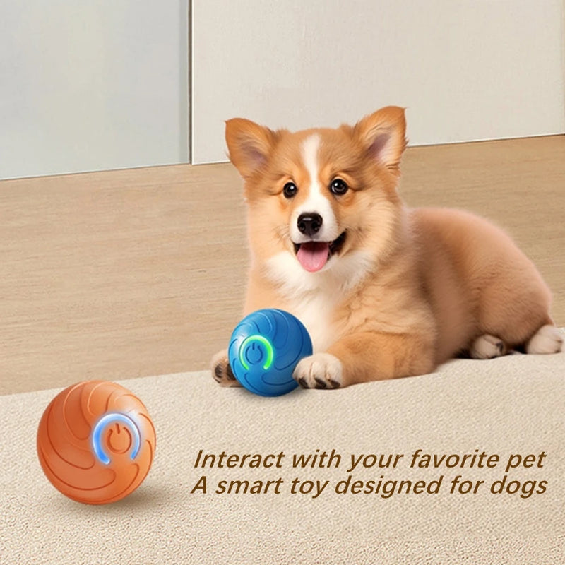 Bola DivertPet™ USB – O Presente Ideal para seu Amiguinho de 4 Patas